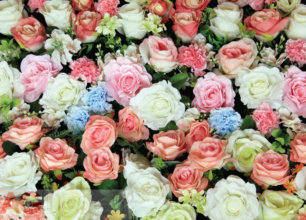Fototapeta Roses FTNM-2653, rozměry 160 x 110 cm