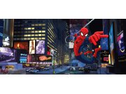 Fototapeta Spiderman in city FTDH-0635, rozměry 202 x 90 cm