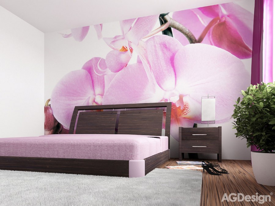 Fototapeta Violet Orchid big FTS-0049, rozměry 360 x 254 cm