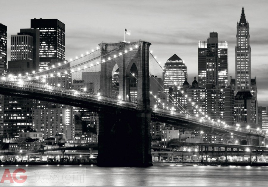 Fototapeta Brooklyn bridge black FTS-0199, rozměry 360 x 254 cm