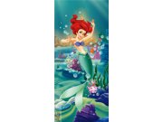 Fototapeta vliesová Ariel FTDNV-5410, 90 x 202 cm Fototapety pro děti - Fototapety dětské vliesové