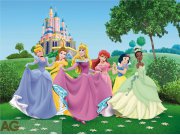 Fototapeta Princesses FTDNXXL-XXL5003, rozměry 360 x 270 cm Fototapety pro děti - Fototapety dětské vliesové